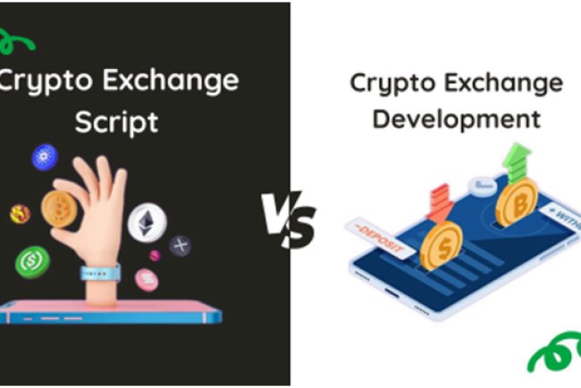 Crypto Exchange Script vs Crypto Exchange Development: What is the Right Choice for 2026?