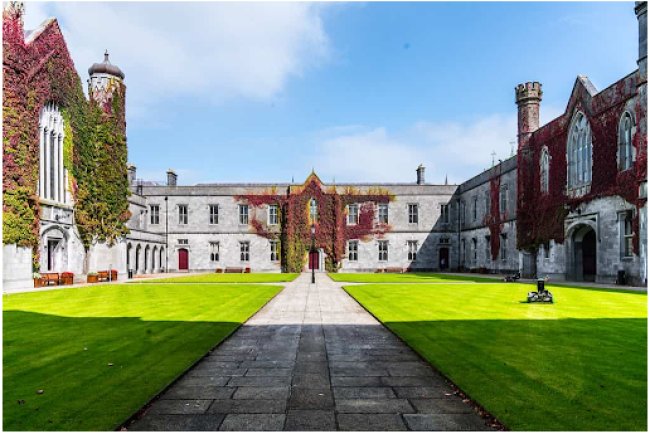 Ireland's Best Universities for a Master's in Data Analytics: Rankings, Specialisations & Entry Requirements