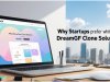 Why Startups Prefer White Label DreamGF Clone Solutions