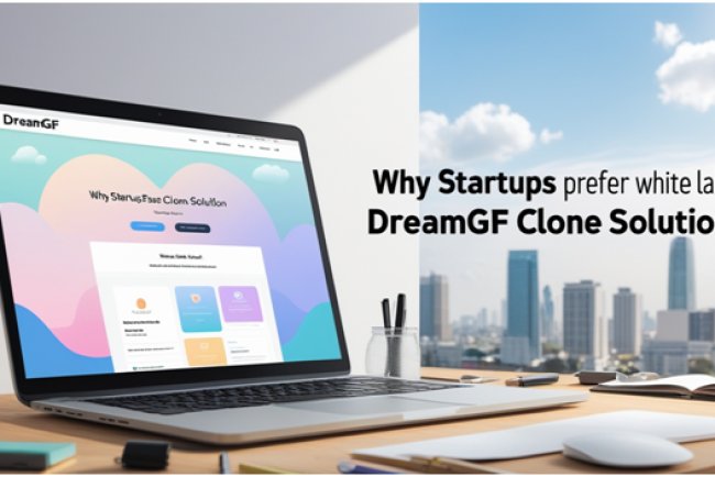 Why Startups Prefer White Label DreamGF Clone Solutions