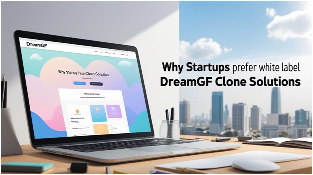 Why Startups Prefer White Label DreamGF Clone Solutions