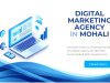 Digital Marketing Agency in Mohali: Complete Guide to Choosing the Right One (2026)