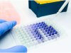 How Do Cell Toxicity Assays Predict Drug Safety Before Human Trials?