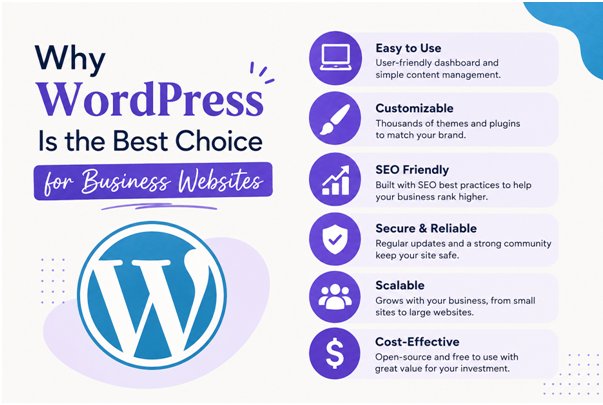 Why WordPress Is the Best Choice for Business Websites