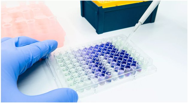 How Do Cell Toxicity Assays Predict Drug Safety Before Human Trials?