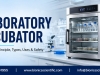 Laboratory Incubator: The Discussion About Its Usage, Compliance, and Real Practice