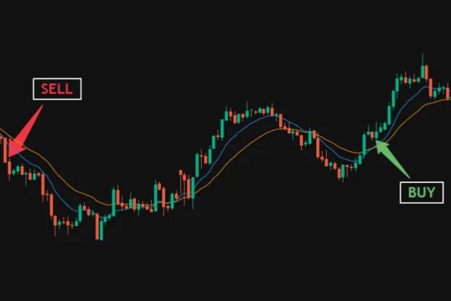 Options Trading Indicators Every Beginner Should Understand Clearly