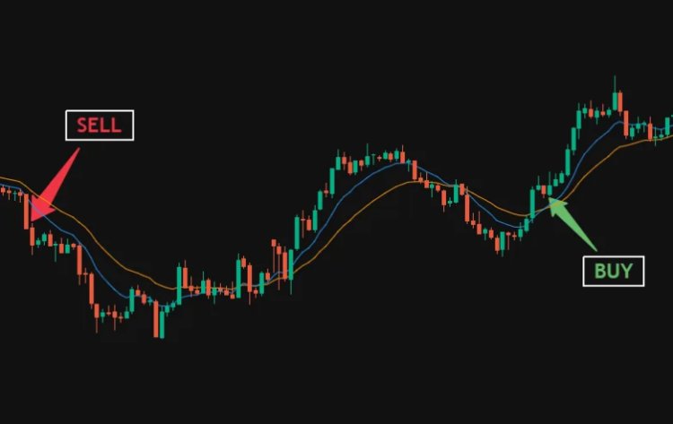 Options Trading Indicators Every Beginner Should Understand Clearly